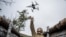 A Ukrainian serviceman launches a combat drone from his frontline position near the town of Pokrovsk in October. 