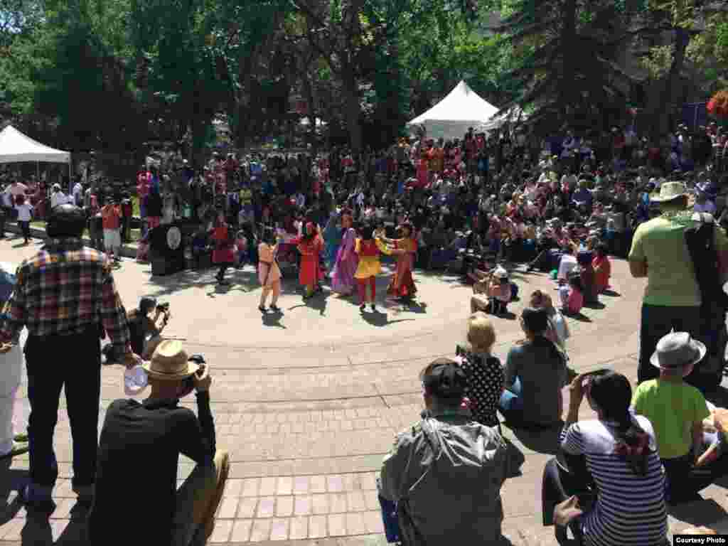 تماشاگران تابستون فستیوال