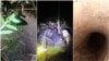 Першы тунэль пад мяжой з тэрыторыі Беларусі ў Латвію і мігранты, якія ім скарысталіся. Каляж з фатаздымкаў Памежнай службы Латвіі