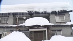 د جاپان شمال کې په ۴۰ کلونو کې تر ټولو سخته واوره شوې
