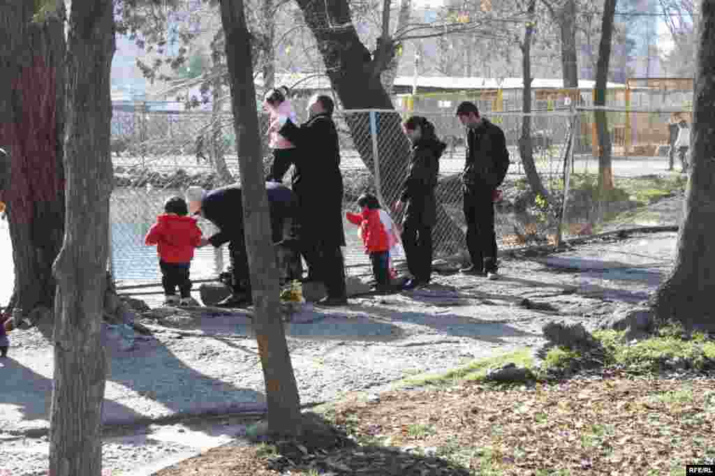 “Ошиқон”-и ҳайвонот #20