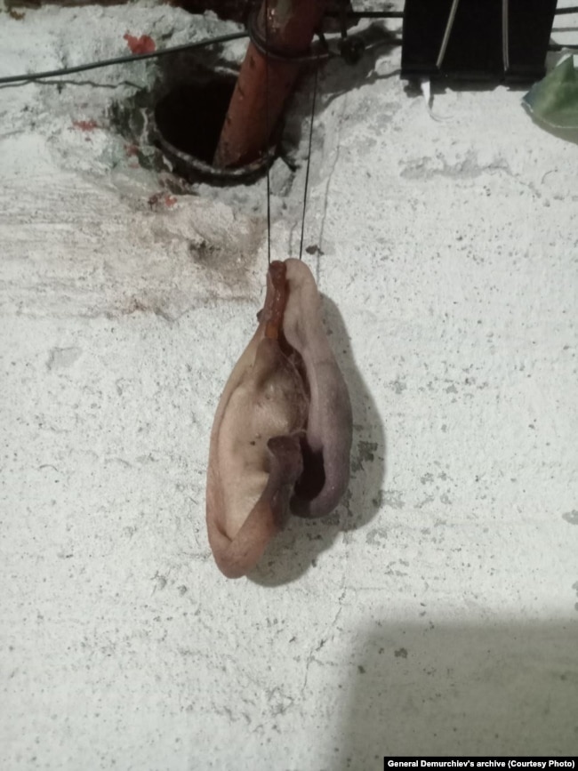 Një foto nga një korrespondencë në të cilën Roman Demurchiev shkruan se planifikon të bëjë një "kurorë" me veshë.