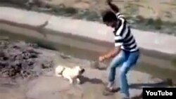 Фрагмент из видео