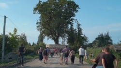 A Georgian Billionaire And The Park For Traveling Trees