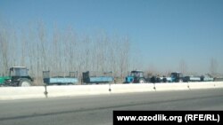 Груженные навозом тракторы стоят на трассе при въезде из Джизака в Самаркандскую область, 11 января 2021 года.
