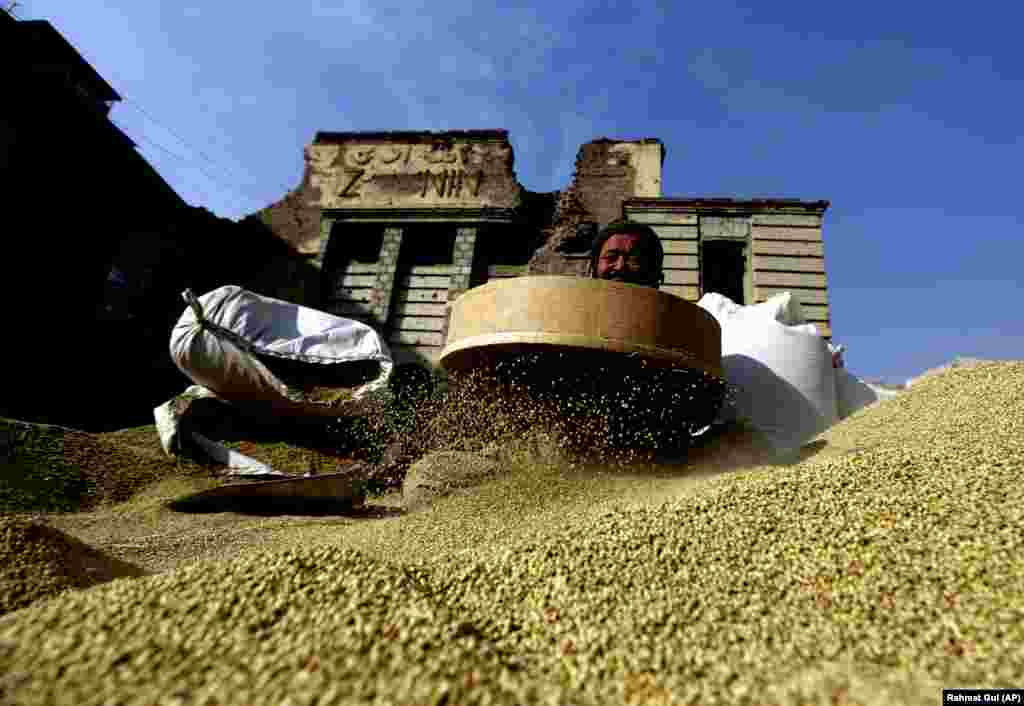 A laborer cleans coriander seeds in Kabul. (AP/Rahmat Gul)