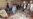 Bomb Blast In Pakistan Kills At Least 24