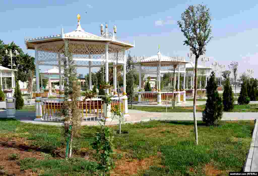 Daşary ýurtlardan getirilip ekilen sosnalaryň tomsuň jöwzasynda hiç hili kölegesi bolmaýar