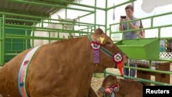 Тыдзень у фотаздымках 2-7 чэрвеня 2013 году