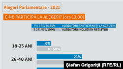 Alegeri parlamentare: votanții, pe grupe de vârstă