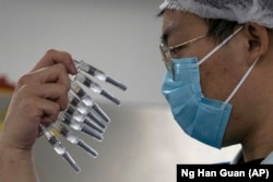 Жұмысшы Sinovac вакцинасы құйылған құтыларды тексеріп тұр. Пекин, Қытай. 24 қыркүйек 2020 жыл.