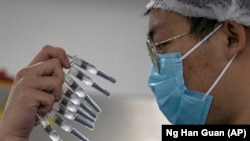 Работник в Китае осматривает шприцы с вакциной против COVID-19. 24 сентября 2020 года.