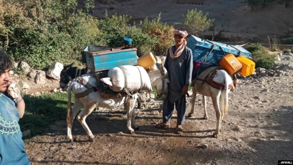 تصویری از یک خانواده در ولایت دایکندی که به اجبار کوچانده شده است