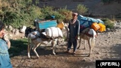 Some of the hundreds of Hazara families who forced off their land by the Taliban in Daikundi Province.