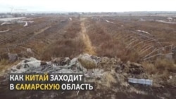 5 фактов об экспансии Китая в Самарской области