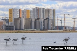 Flamingosi na Malom Taldikolu