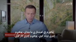 ناوالني د راستنېدو پرمهال د مسکو په هوايي ډګر کې ونیول شو