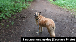Ілюстрацыйнае фота. 