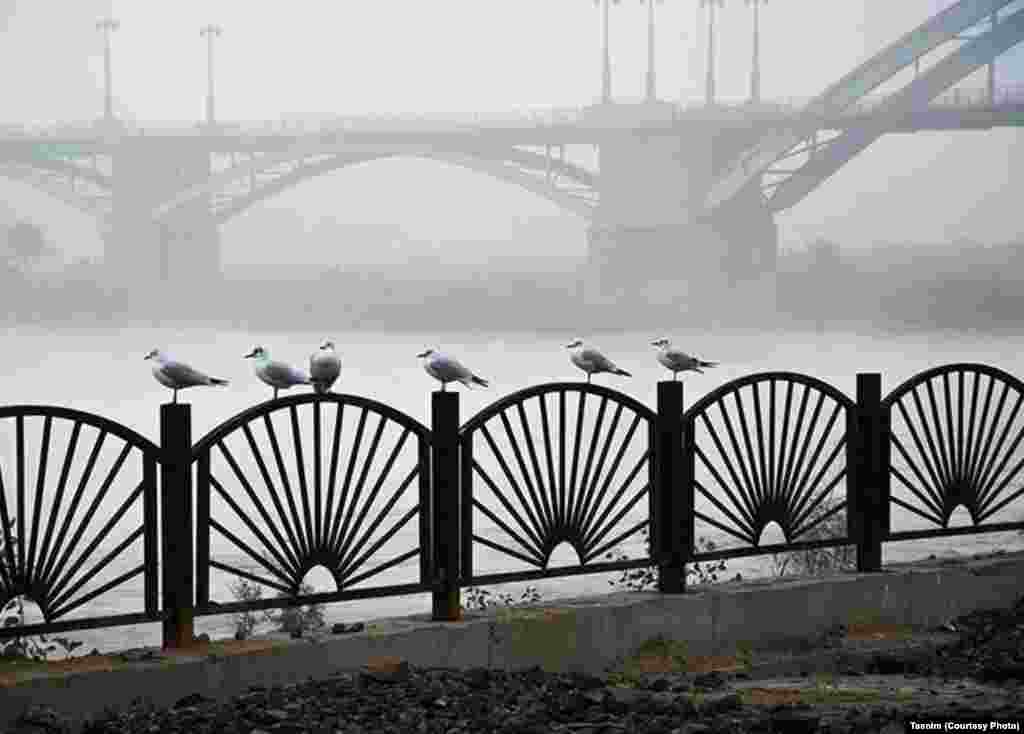 اهواز در مه؛ هفته گذشته مه غلیظی فضای شهر اهواز را سفید پوش کرد. این مه باعث لغو یا تاخیر در اکثر پروازهای فرودگاه این شهر شد.