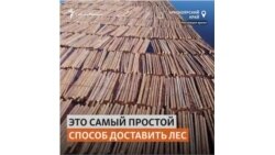 Лесоруб из таежного поселка рассказал, почему не остался жить в городе