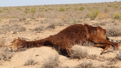 Сексуалдық әңгіме ауылы