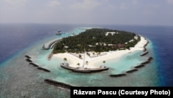 Мальдив Республикасына кирген аралдардын бири. Иллюстрациялык сүрөт.