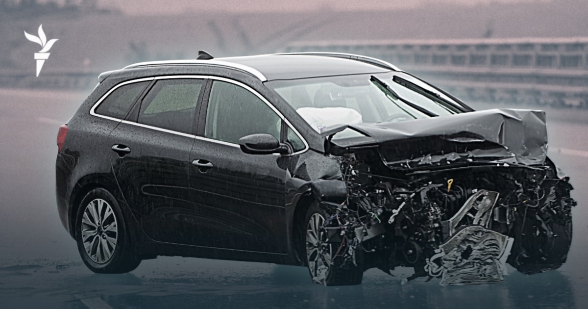 Жапон порно телешоуы