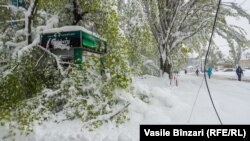 Chișinău, 21 aprlie 2017.