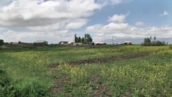 Ըստ Թաթոյանի` սահմանային խախտումները արձանագրելու համար ՀՀ-ն պետք է կիրառի միջազգային մեխանիզմներ