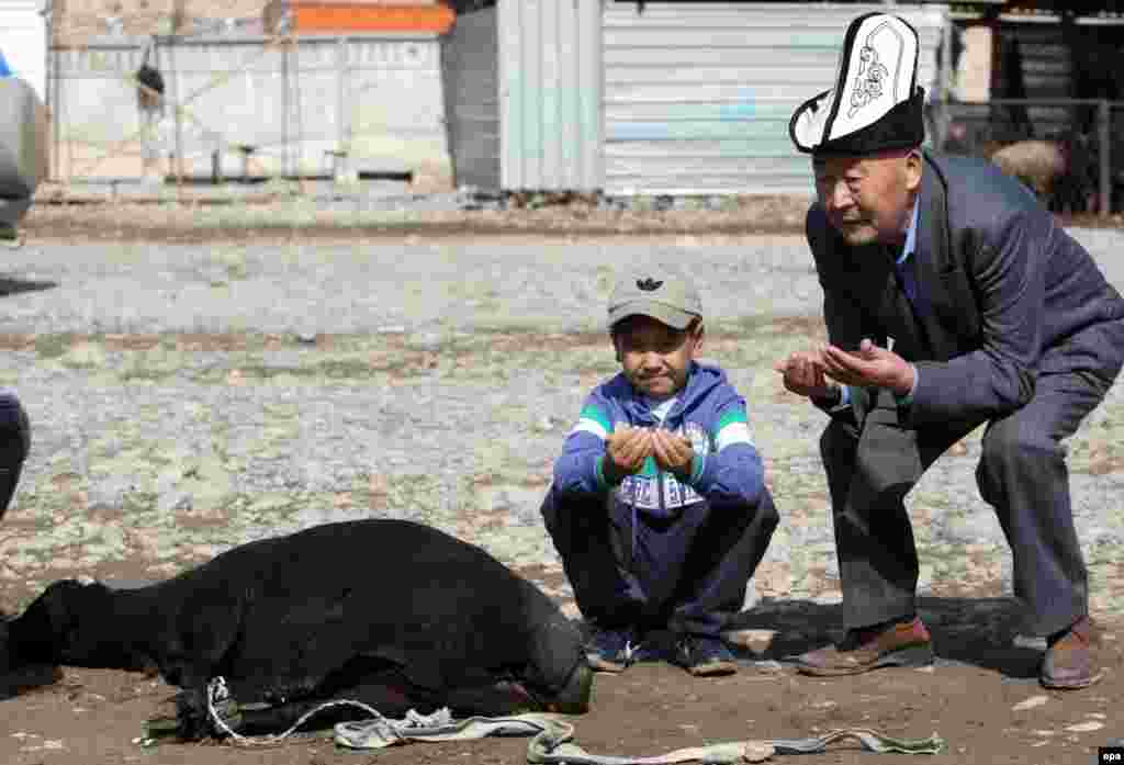 A Kyrgyz man and boy pray next to a sacrificial sheep at a local livestock market ahead of Eid al-Adha, or Feast of the Sacrifice, in Bishkek, Kyrgyzstan. Millions of Muslims around the world will celebrate Eid al-Adha, one of the biggest Muslim religious festivals, by slaughtering goats, sheep, and cattle in commemoration of the Prophet Abraham's readiness to sacrifice his son to show obedience to Allah. (epa/Igor Kovalenko)