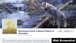 یکی از عکس های سرگی گاشاک، منبع:http://www.facebook.com/Chernobyl.Wormwood