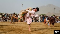 انځور له ارشیف څخه 