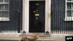 10 Downing Street, nr 10, reședința premierului Marii Britanii.