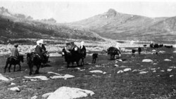 "Узак жол" романынан үзүндү