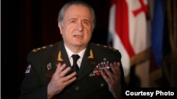 ელგუჯა მეძმარიაშვილი 