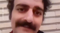 Satirist Saeed Shakiba