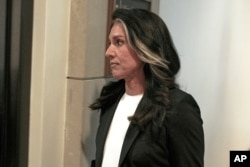 Tulsi Gabbard