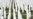 UN Court Jails Two Bosnian Serbs For Life Over Srebrenica