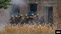 Грузинські військові «зачищають будинок» під час одного з попередніх навчань Agile Spirit, липень 2015 року