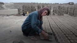 Afganistanska virdžina