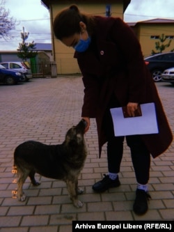 Colega noastra Irina Sterpu este o mare iubitoare de animale. A gasit un catelus dragalas si la Flaminzi, unde s-a vaccinat