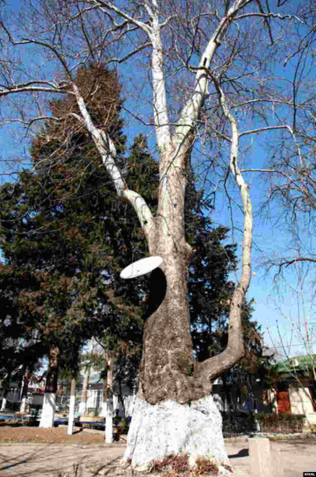 Yelenendorf – Xanlar – Göygöl #18