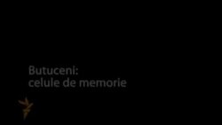 Butuceni: celule de memorie