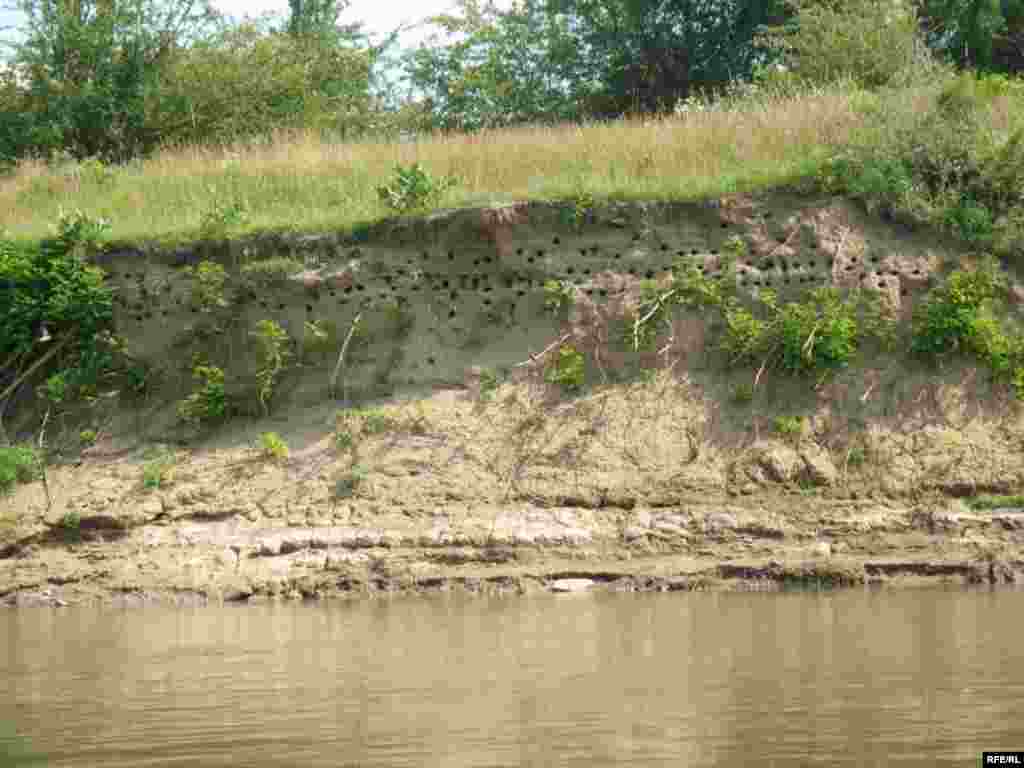 Dnestr çayında #20