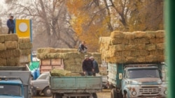 Кечки радио эфир | 27.09.2023 | Тоют тартыштыгы курч көйгөйгө айланды