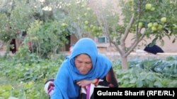 آرشیف٬ تصویر جنبه تزیینی دارد