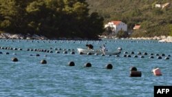 Ston na poluostrvu Pelješac