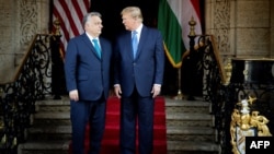 Віктар Орбан і Дональд Трамп, Флорыда, ЗША, 8 сакавіка 2024 году