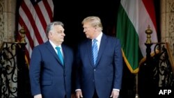 8 martie 2024, întâlnirea lui Viktor Orbán cu Donald Trump la reședința fostului președinte american. Mar-a-Lago, Florida.