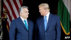 Премьер-министр Венгрии Виктор Орбан и лидер Республиканской партии США, предыдущий американский президент Дональд Трамп. 8 марта 2024 года